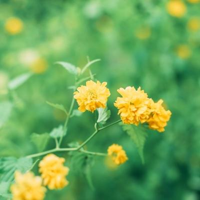 超能复仇者百度版客户端下载